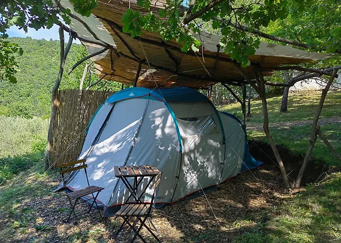 carinthia zelt Carinthia Biwakzelt Micro Tent Plus online kaufen